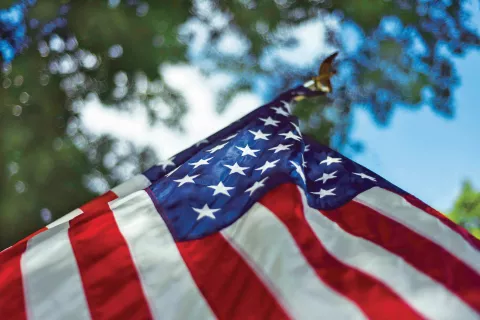 An American flag outdoors.